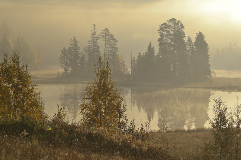 BQ3A9762uddenwebb800