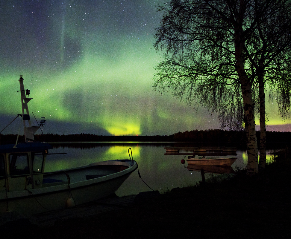 IMG_0863norrskenwebbu800