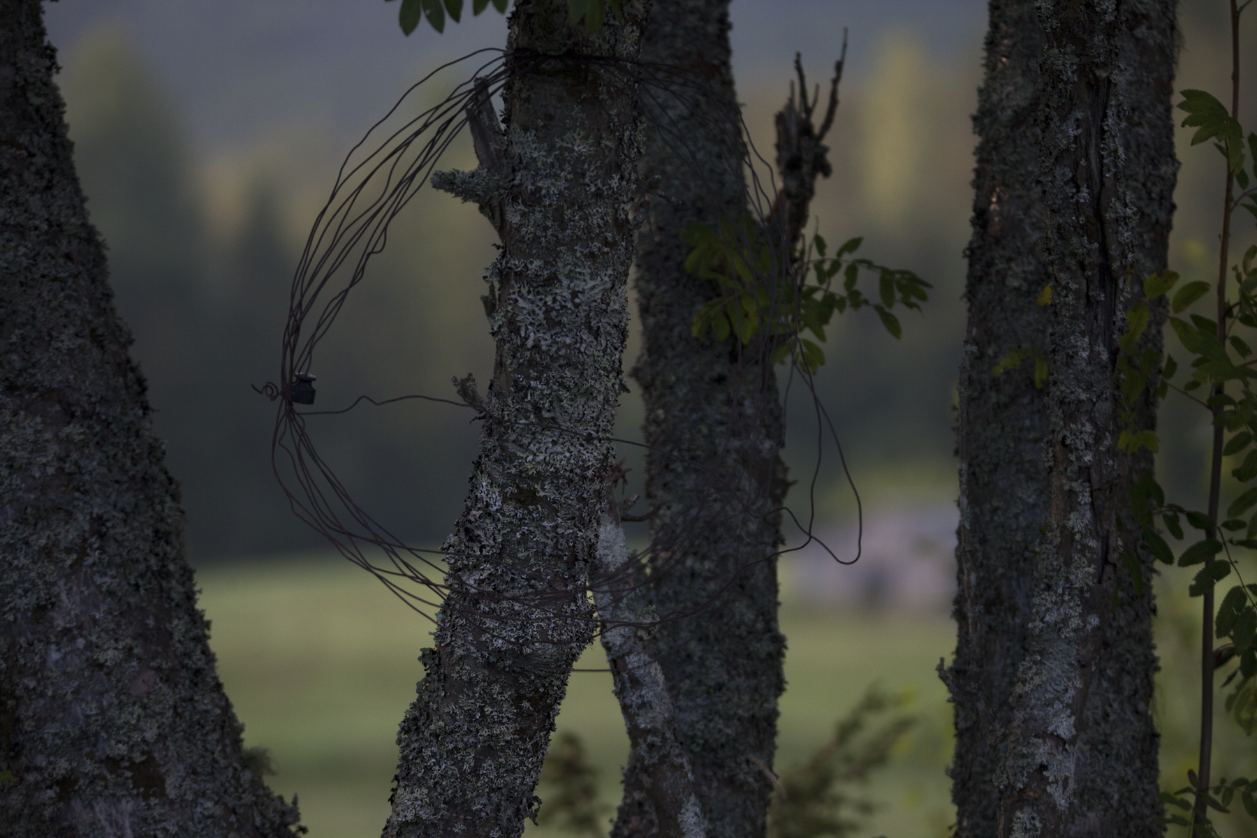 _MG_5497bäcklidentidshistor