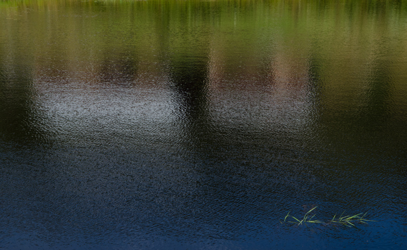 orrtolidenspeglingDSC_3016u800