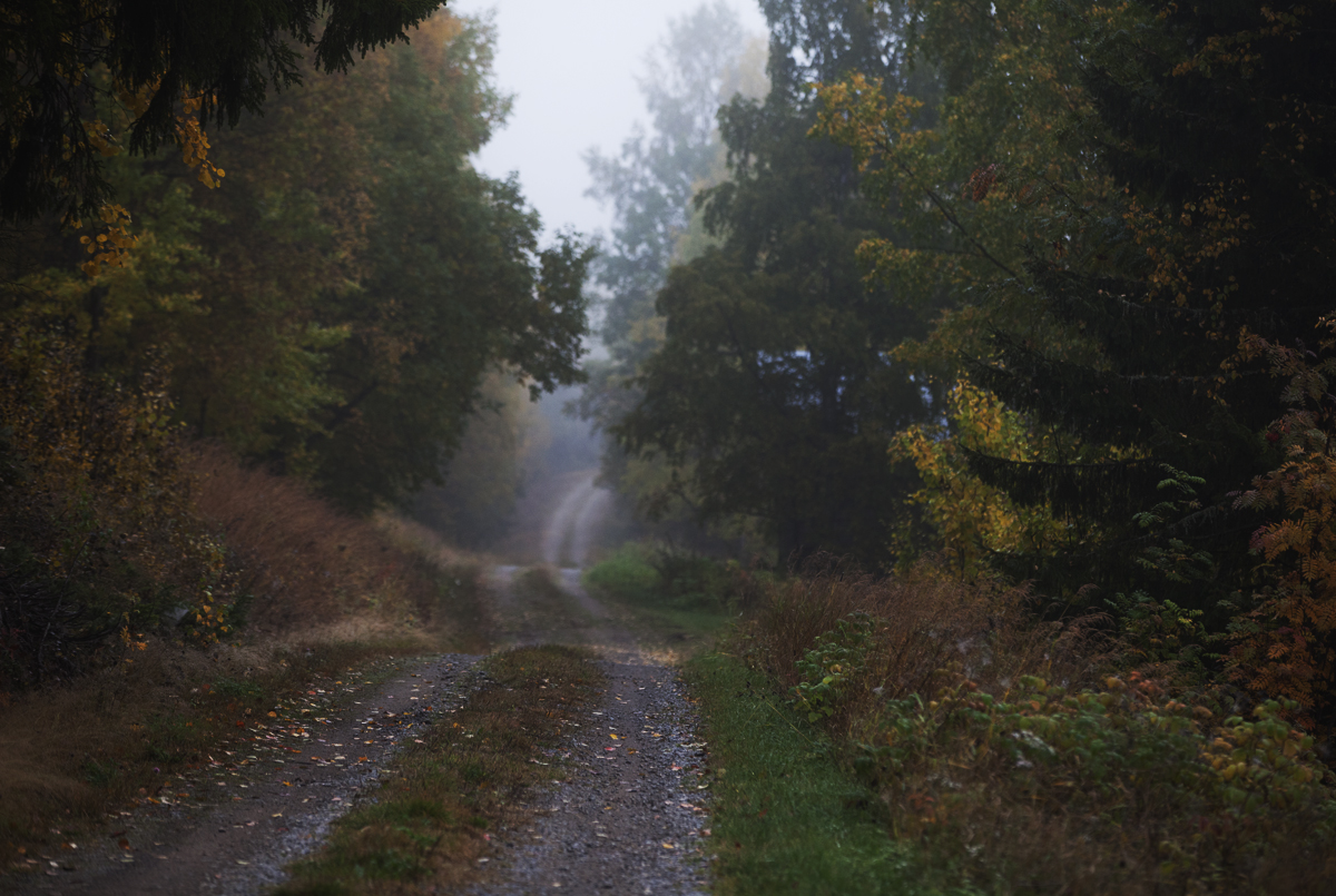 utskriftIMG_0877vägiorrtoliden1200utskrift